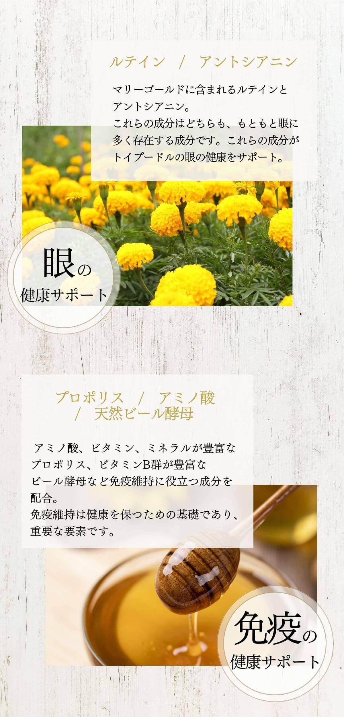 あああ